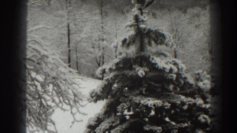Martinsburg, West Virginia 1938 home-movie frame of a snow-laden evergreen against bare winter woods.