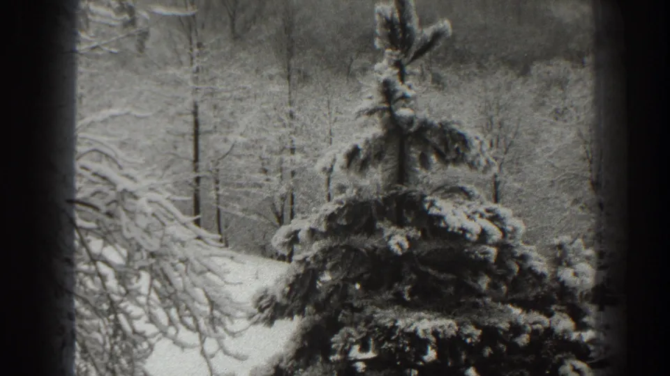 Late frame from the 1938 Martinsburg winter scene, showing an evergreen coated in snow beside bare woodland branches.
