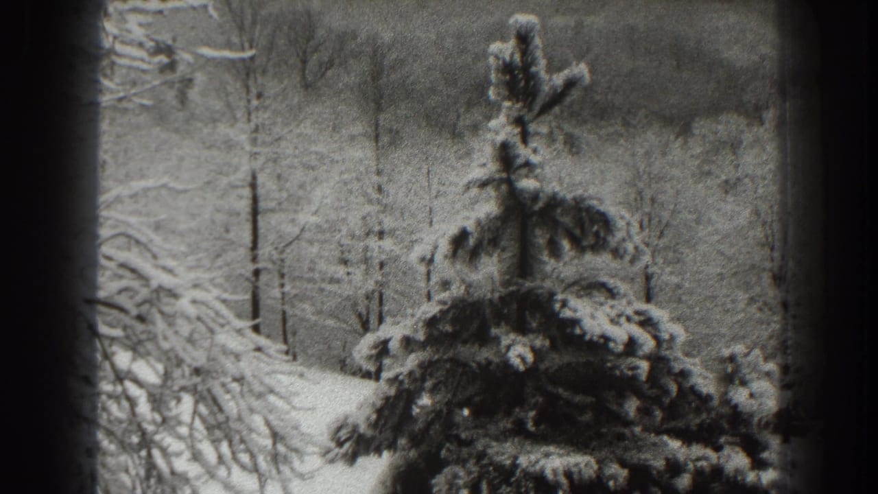 Snow-covered evergreen and bare trees seen through a dark window or film edge.
