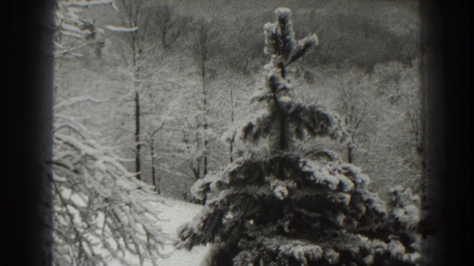 1938 Martinsburg, West Virginia 8mm frame showing a snowy evergreen, bare trees, and distant winter hillside through dark vertical edges.