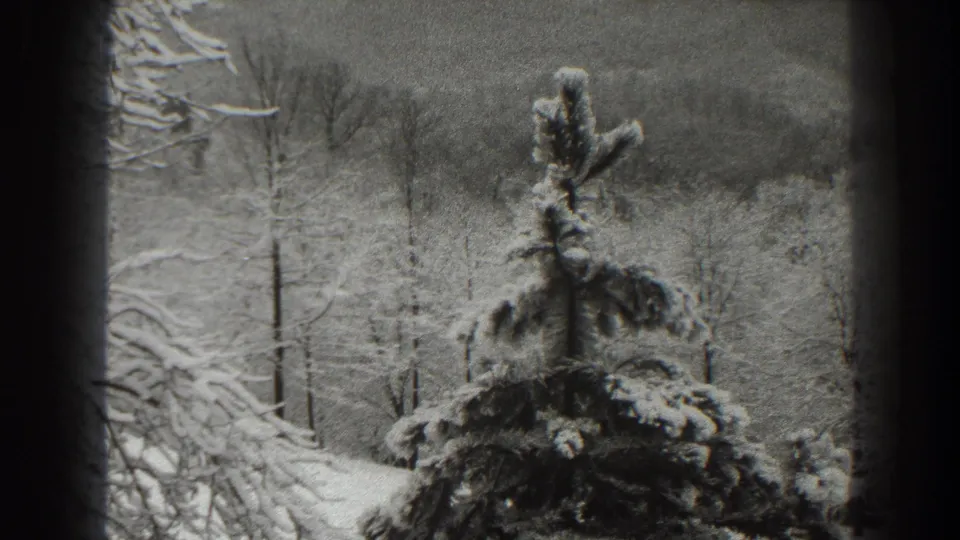 1938 Martinsburg, West Virginia home-movie frame with a snow-laden evergreen, leafless trees, and soft distant hills in black and white.