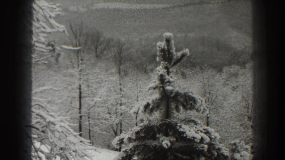 1938 Martinsburg, West Virginia 8mm frame showing a snowy evergreen and bare woodland with a pale hillside beyond.