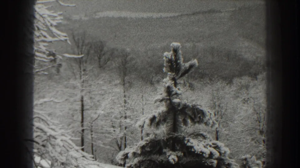 1938 Martinsburg, West Virginia black-and-white 8mm frame of a snowy evergreen, bare trees, and muted hillside beyond.