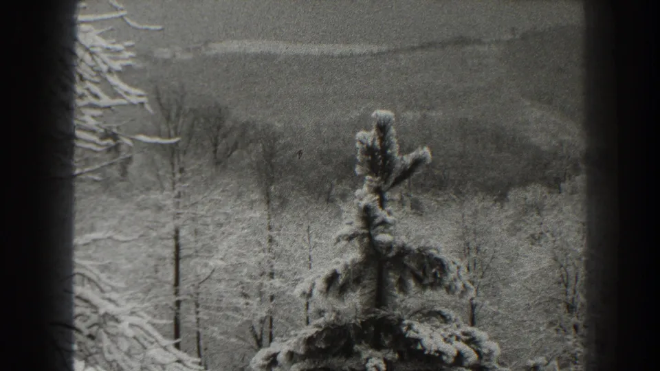 1938 Martinsburg-area home-movie frame showing a snow-laden spruce in front of bare winter woods.
