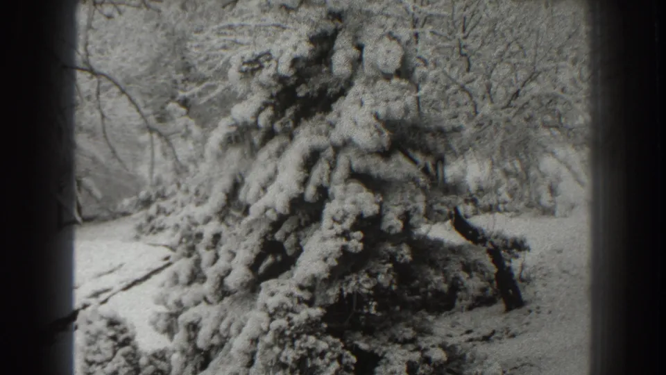 A fixed 8mm home-movie frame shows a snow-covered spruce in a quiet Martinsburg winter landscape.