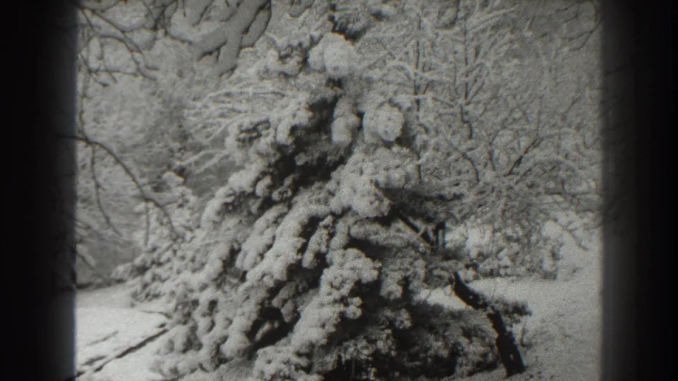 1938 Martinsburg, West Virginia 8mm frame showing a snow-laden evergreen among bare winter trees.