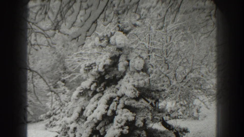 1938 Martinsburg, West Virginia winter frame showing an evergreen coated in snow against bare woods.