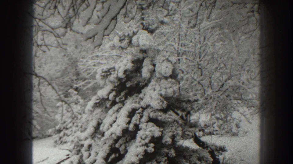 1938 Martinsburg home-movie frame showing a snow-laden evergreen in a quiet winter landscape.