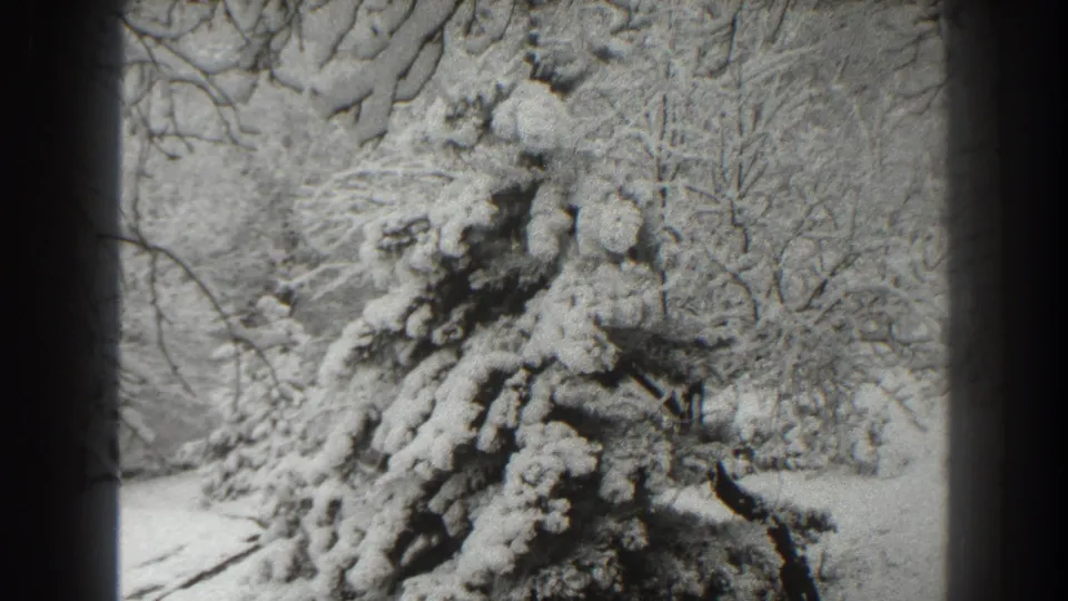 Black-and-white 8mm frame from Martinsburg showing heavy snow on an evergreen and leafless trees beyond.