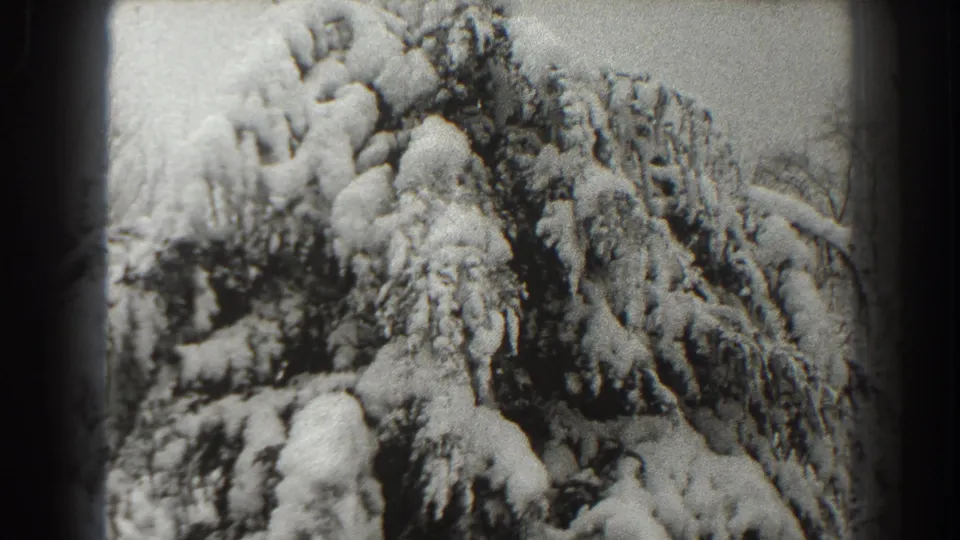 The final frame holds on snow-covered evergreen texture, with the black-and-white 8mm image showing rounded film edges.