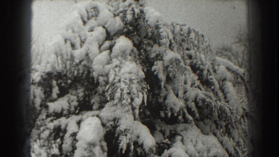 1938 Martinsburg, West Virginia 8mm frame showing evergreen branches weighed down by thick snow.