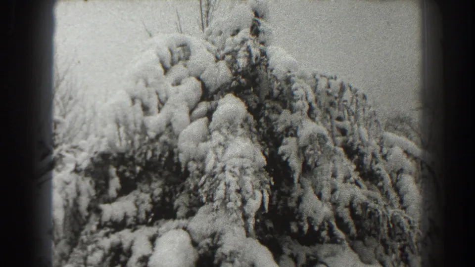 Black-and-white 8mm view of a snow-heavy evergreen in Martinsburg, West Virginia, based on clip metadata.
