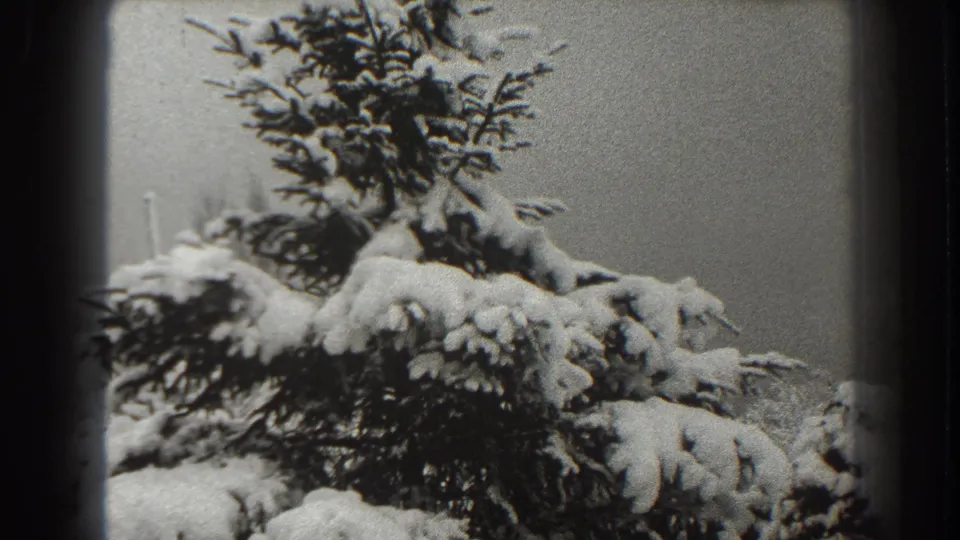 End frame from the Martinsburg winter home movie showing a snow-covered evergreen in soft black-and-white 8mm texture.