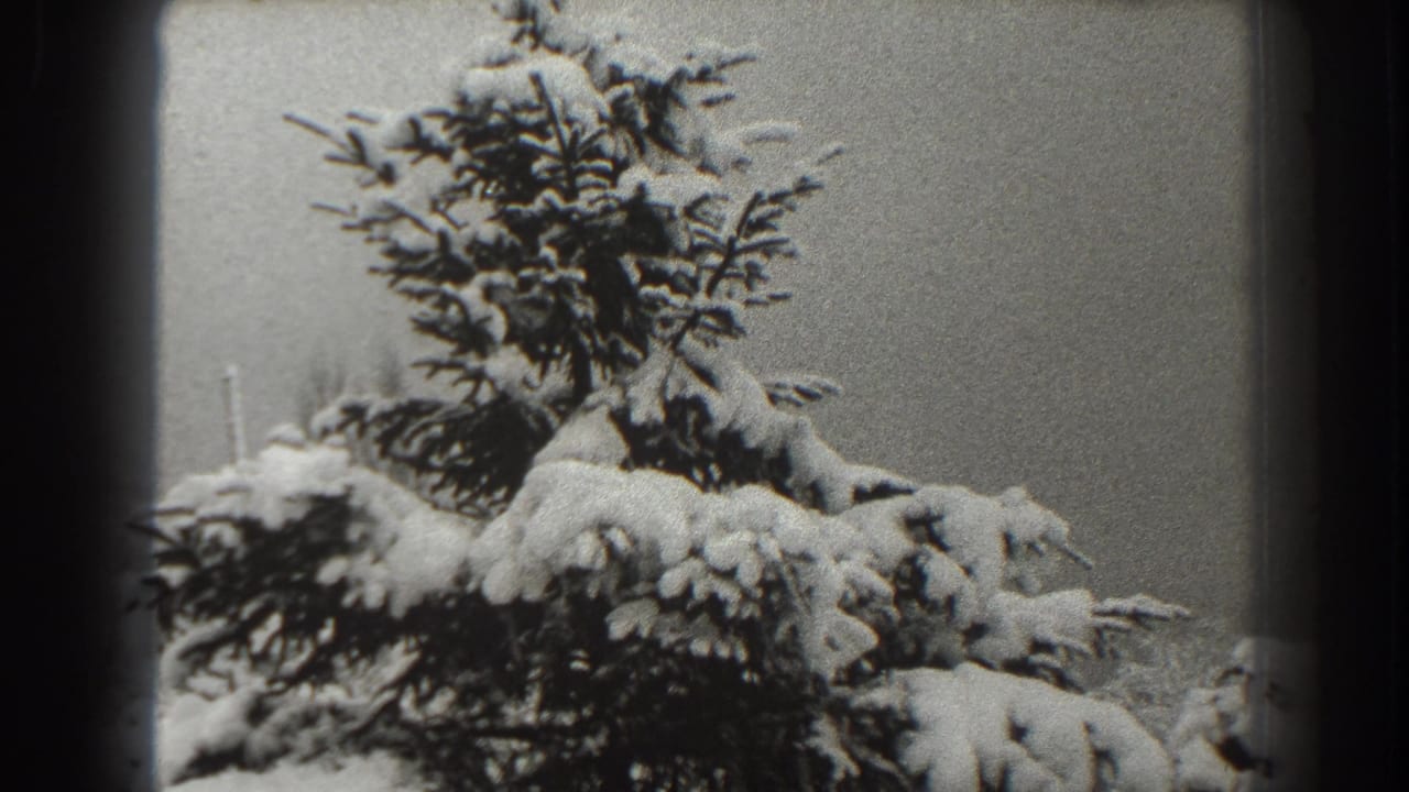Snow-covered pine branches against a pale winter sky with dark 8mm frame borders.