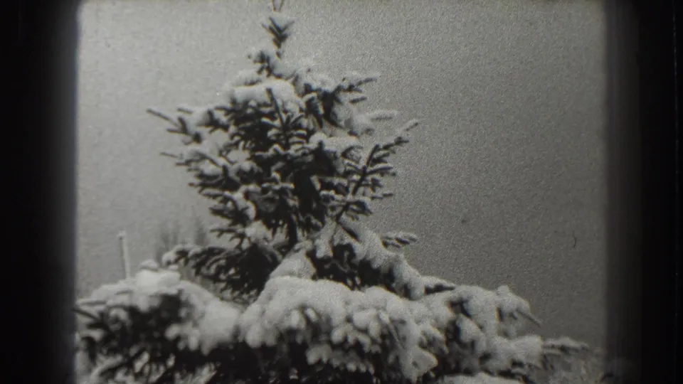 Black-and-white 8mm view from Martinsburg in 1938 showing a snow-heavy evergreen treetop framed by rounded home-movie borders.