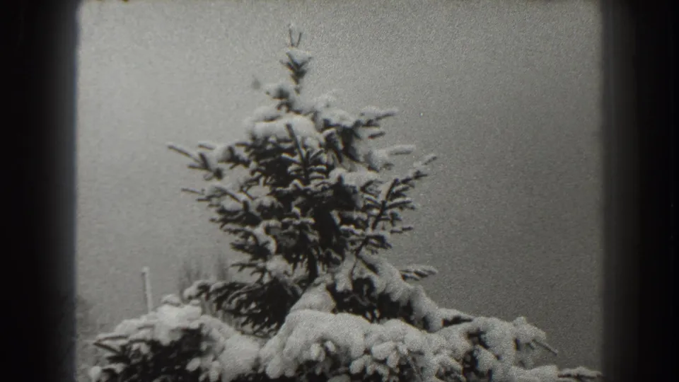 Martinsburg 1938 winter frame with a snow-covered pine top centered beneath a pale sky, showing visible 8mm grain and gate edges.