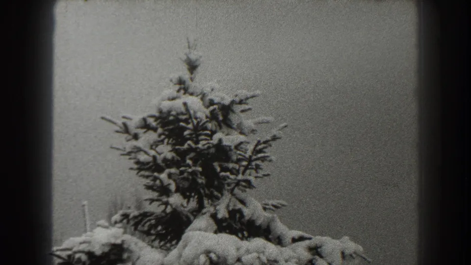 Final 1938 Martinsburg frame showing the top of a pine tree with icy, snow-covered branches in a quiet outdoor winter scene.