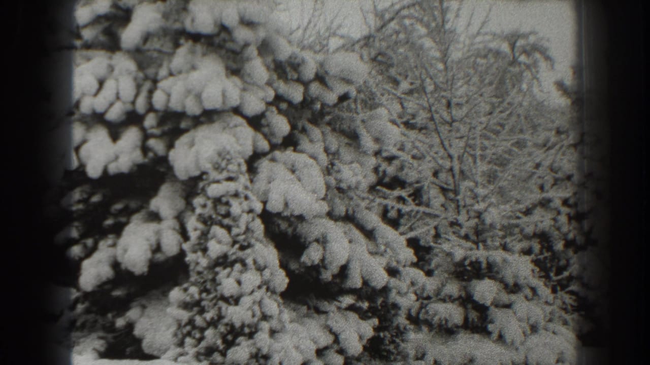Snow-covered evergreen branches and bare winter trees in black-and-white 8mm footage.