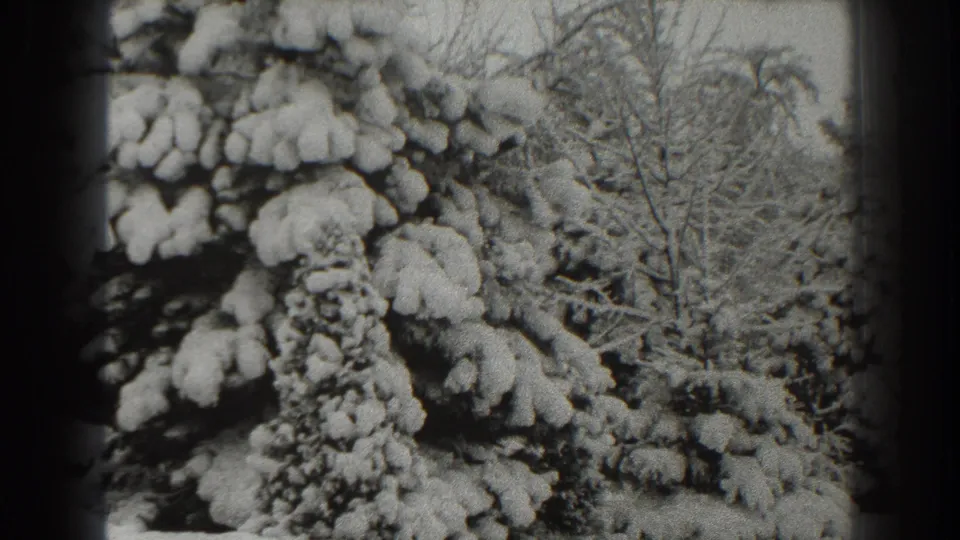 1938 Martinsburg, West Virginia home-movie frame showing heavy snow on evergreen boughs with leafless trees behind.
