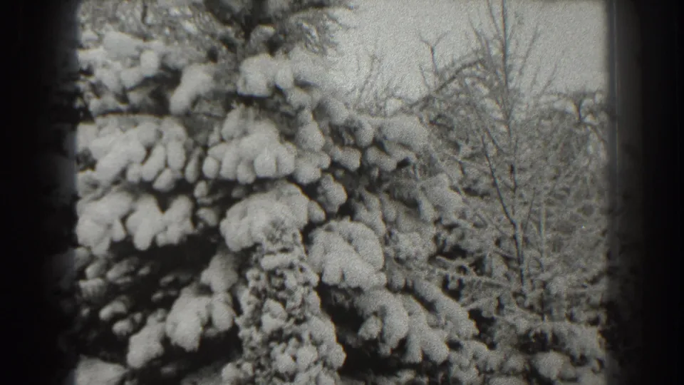 Snow-laden evergreen foliage fills the foreground, with bare trees behind in the Martinsburg winter scene.