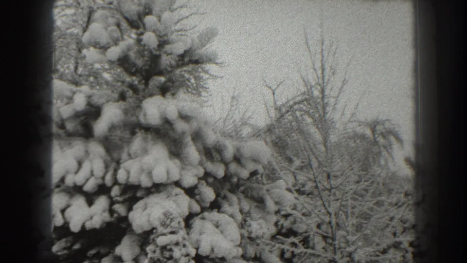 A slightly shifted 8mm frame shows snow-covered conifer branches and leafless trees in Martinsburg, West Virginia.