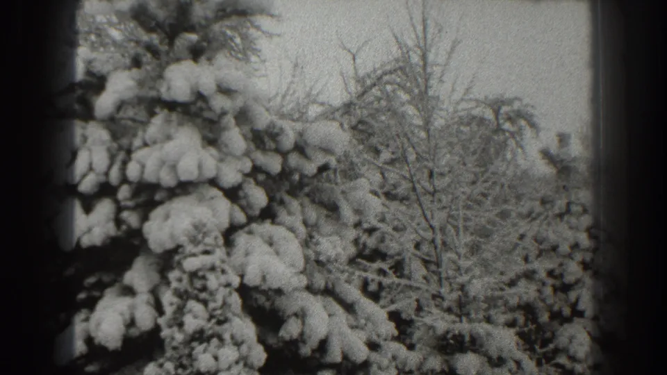 Final frame of the 1938 winter view, with dense snow on evergreen branches and leafless trees beyond.