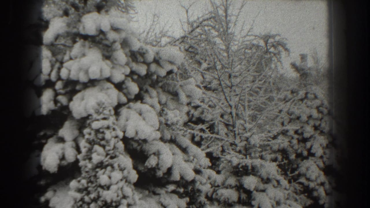 1938 Martinsburg home-movie frame showing heavy snow on evergreen boughs with bare winter trees behind them.