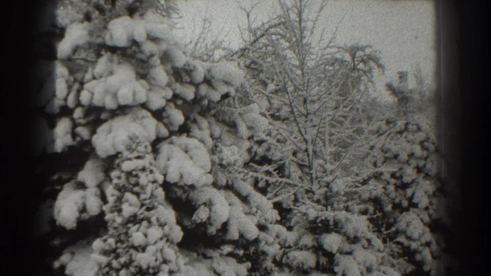 1938 Martinsburg home-movie frame showing heavy snow on evergreen boughs with bare winter trees behind them.