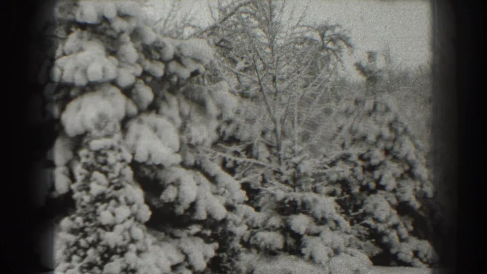 A soft 8mm winter frame from Martinsburg showing snow-packed evergreens and leafless trees in the background.