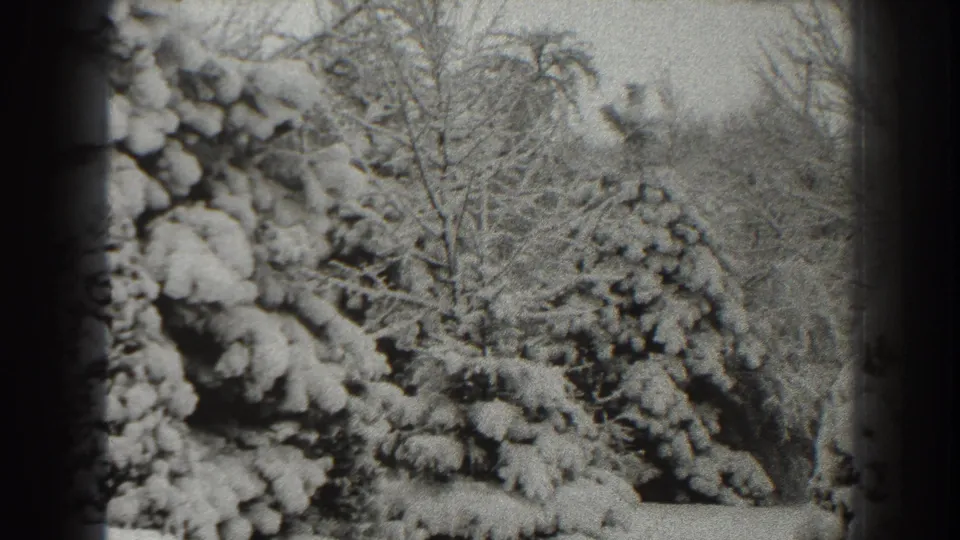 Martinsburg winter view on 8mm film, with heavy snow on trees and a muted background of bare branches.