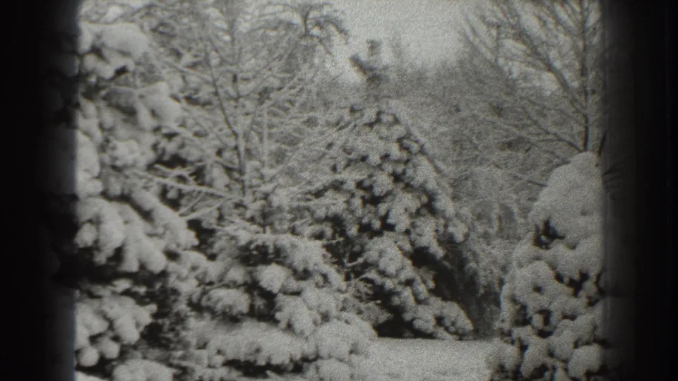 Final 1938 home-movie frame showing snow-heavy evergreens and bare trees in a Martinsburg winter landscape.