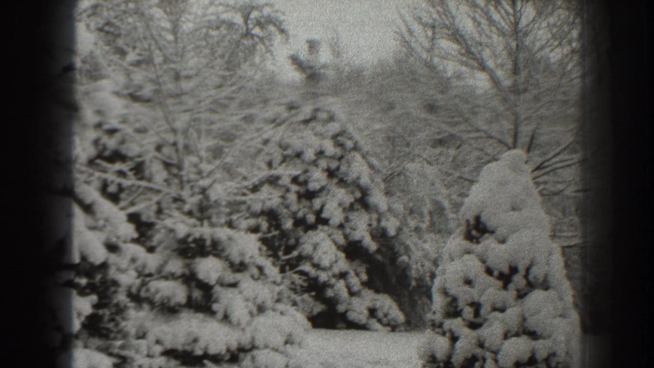 Snow-covered evergreen trees and bare branches in a winter landscape.