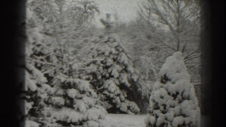 1938 8mm home-movie frame from Martinsburg, West Virginia, showing snow-heavy evergreens and bare winter branches.