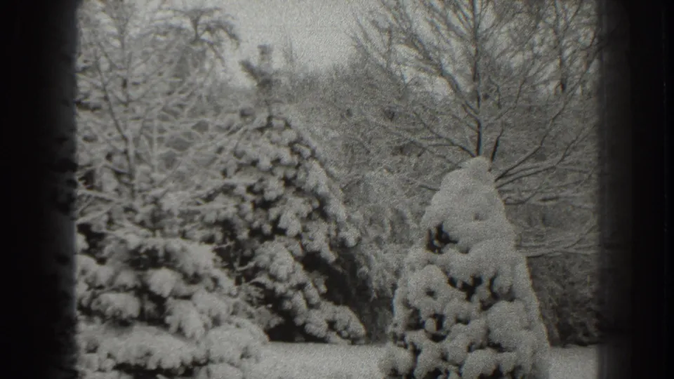 Snow-covered evergreens and leafless trees appear in this 1938 Martinsburg winter home-movie frame.