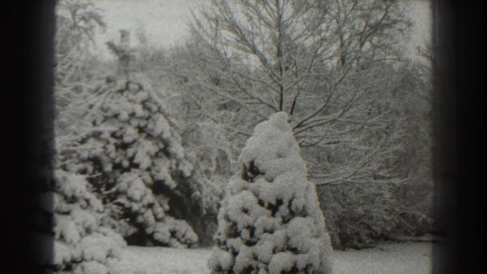 1938 8mm frame showing a snow-loaded evergreen near bare trees in Martinsburg, West Virginia.