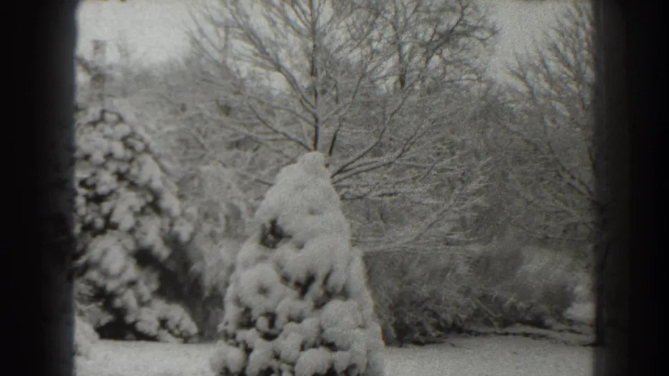 Final 1938 Martinsburg winter frame with a snow-covered evergreen, bare branches, and visible 8mm film borders.
