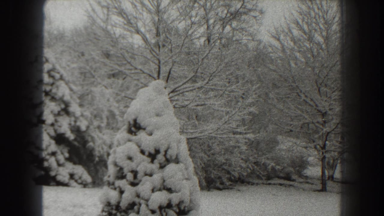 Snow-covered evergreen and bare trees seen through a dark window-like frame.