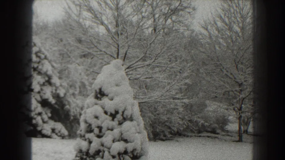 1938 Martinsburg home-movie frame showing a snow-laden evergreen, bare winter trees, and snowy ground through a dark vertical frame.