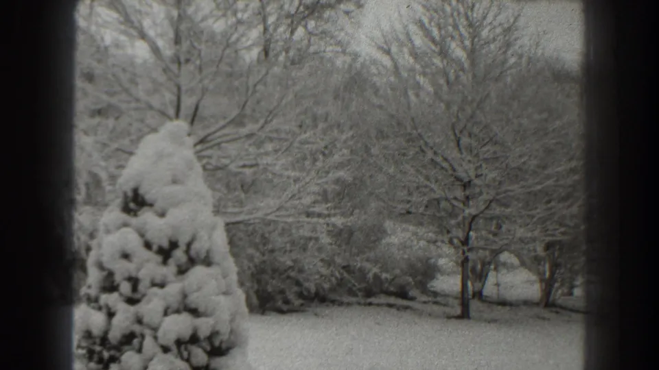 Snow clings to an evergreen shrub and leafless trees in a Martinsburg winter yard, filmed in grainy black-and-white 8mm.
