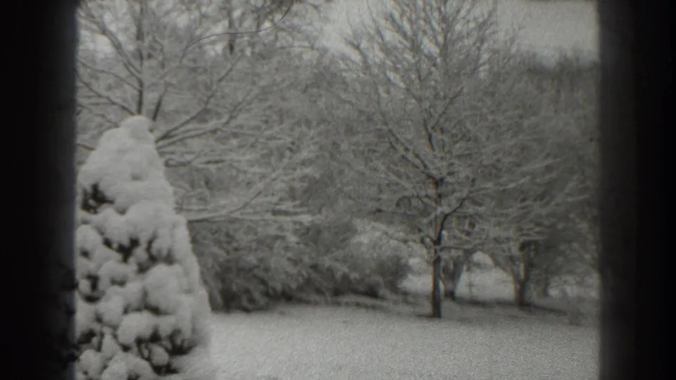 Black-and-white 8mm view of a snowy Martinsburg yard, with an evergreen at left and bare winter trees beyond.