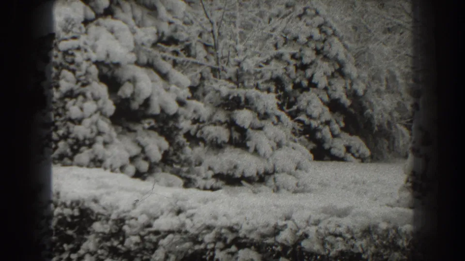 A dense cluster of snow-loaded evergreens fills the 1938 Martinsburg frame, with bare trees and snowy ground behind.