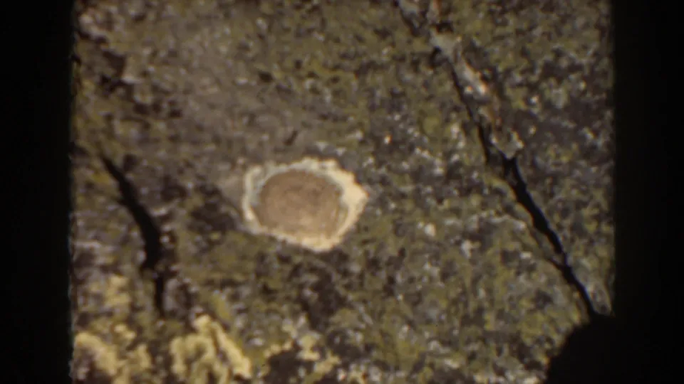 Close 8mm view from Mount Washington showing a round yellowish feature against rough green-brown ground texture.