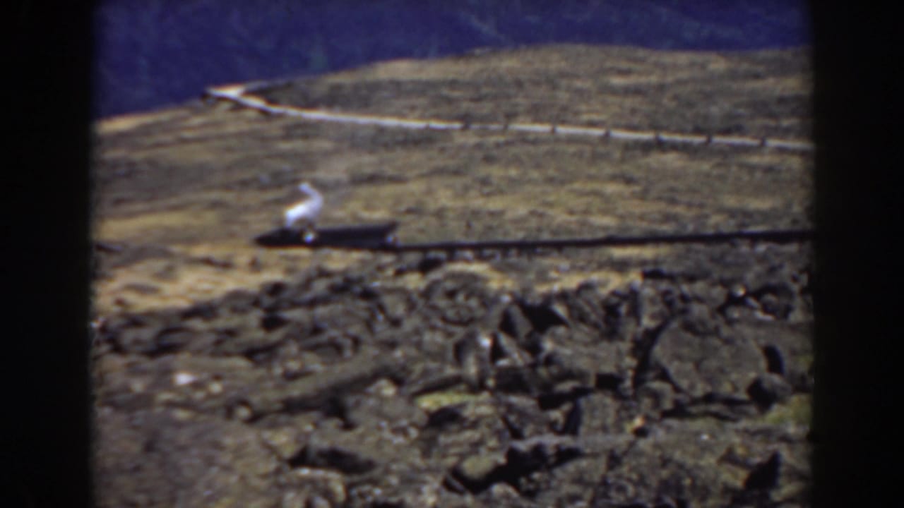 Train on mountain track releasing a white plume of smoke above rocky ground.