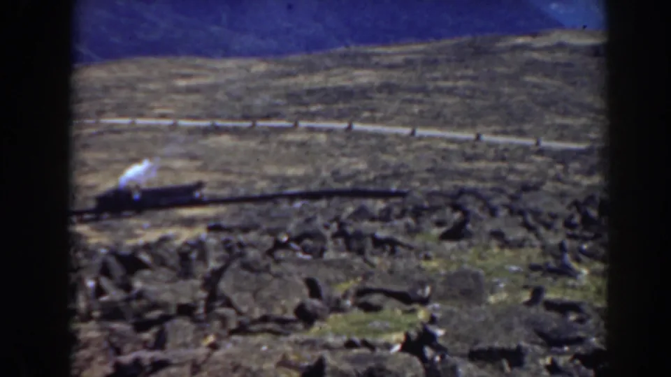 1938 Mount Washington home-movie still of a steam train on a mountain railway with rocks in the foreground.