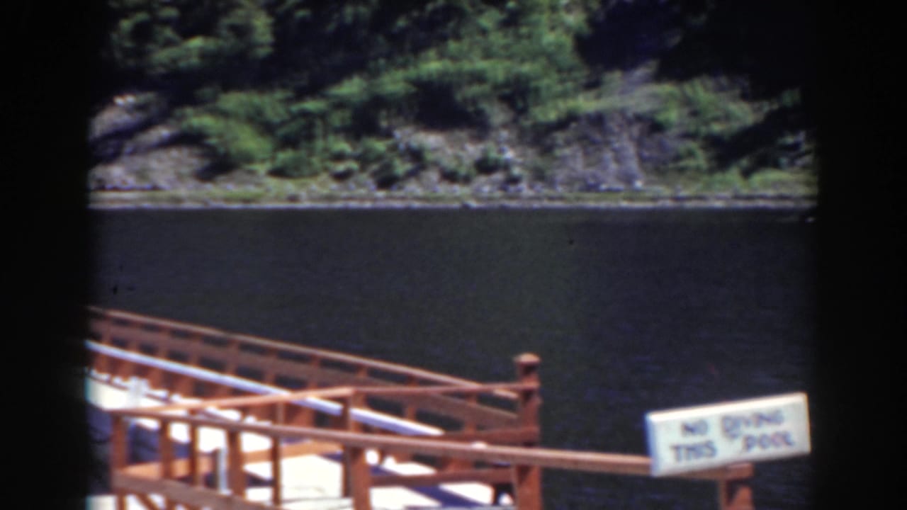 Wooden dock railing beside dark water with a white no-diving sign partly visible.