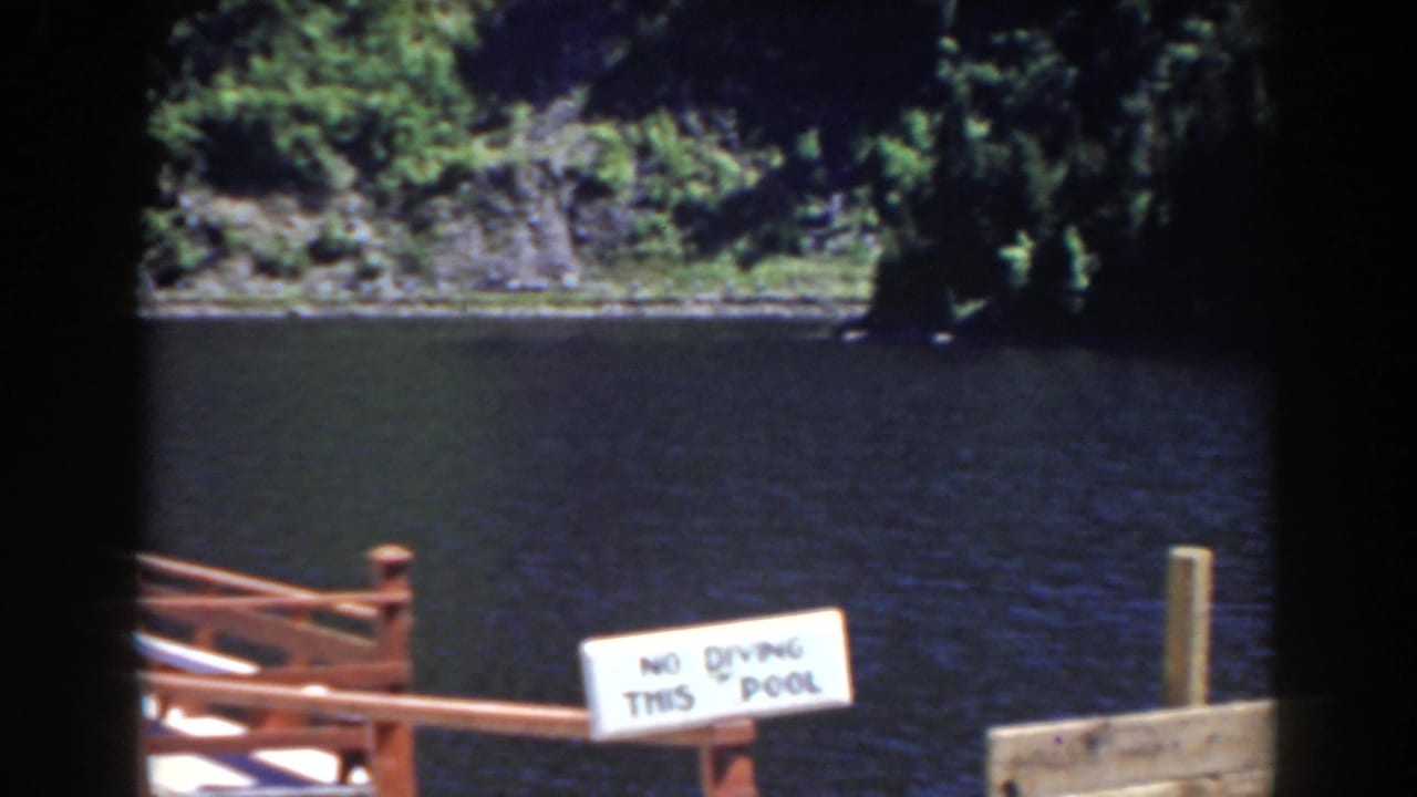 White no-diving sign on a dock railing with calm water and trees behind it.