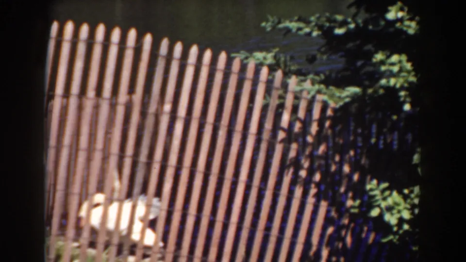 1938 home-movie frame showing a pale animal partly obscured behind a wooden fence in a leafy outdoor setting.