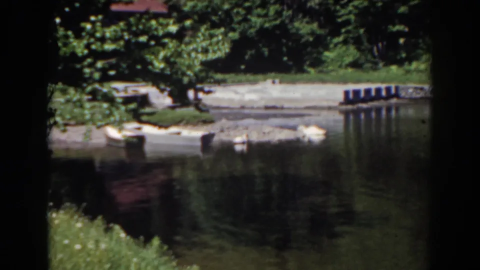 1938 Mount Washington home-movie frame showing swans on calm pond water near a pale shoreline and dense trees.