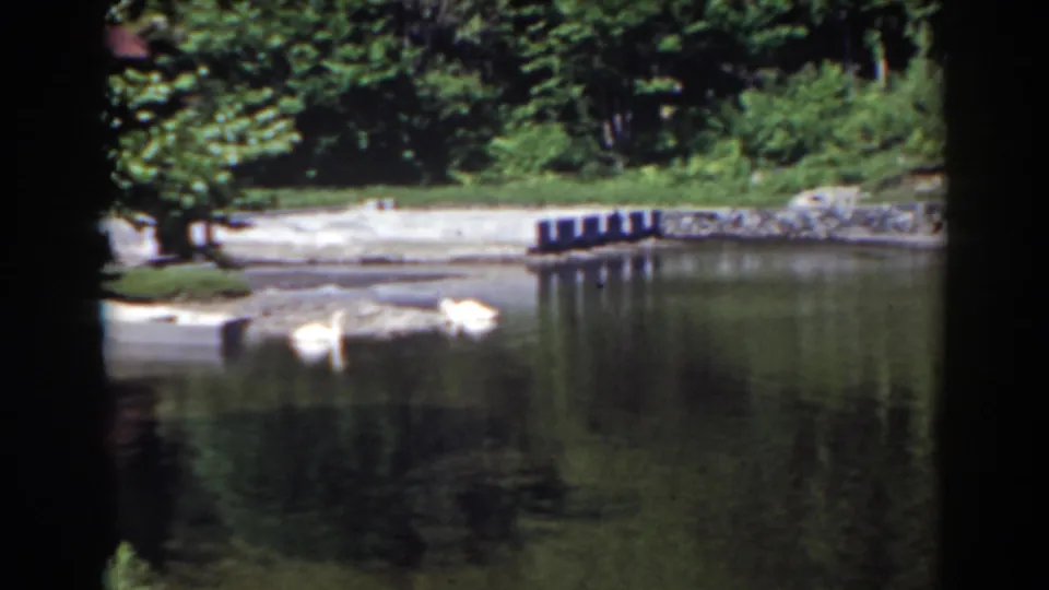 1938 8mm pond scene at Mount Washington, New Hampshire, with swans, dark reflections, trees, and shoreline posts.