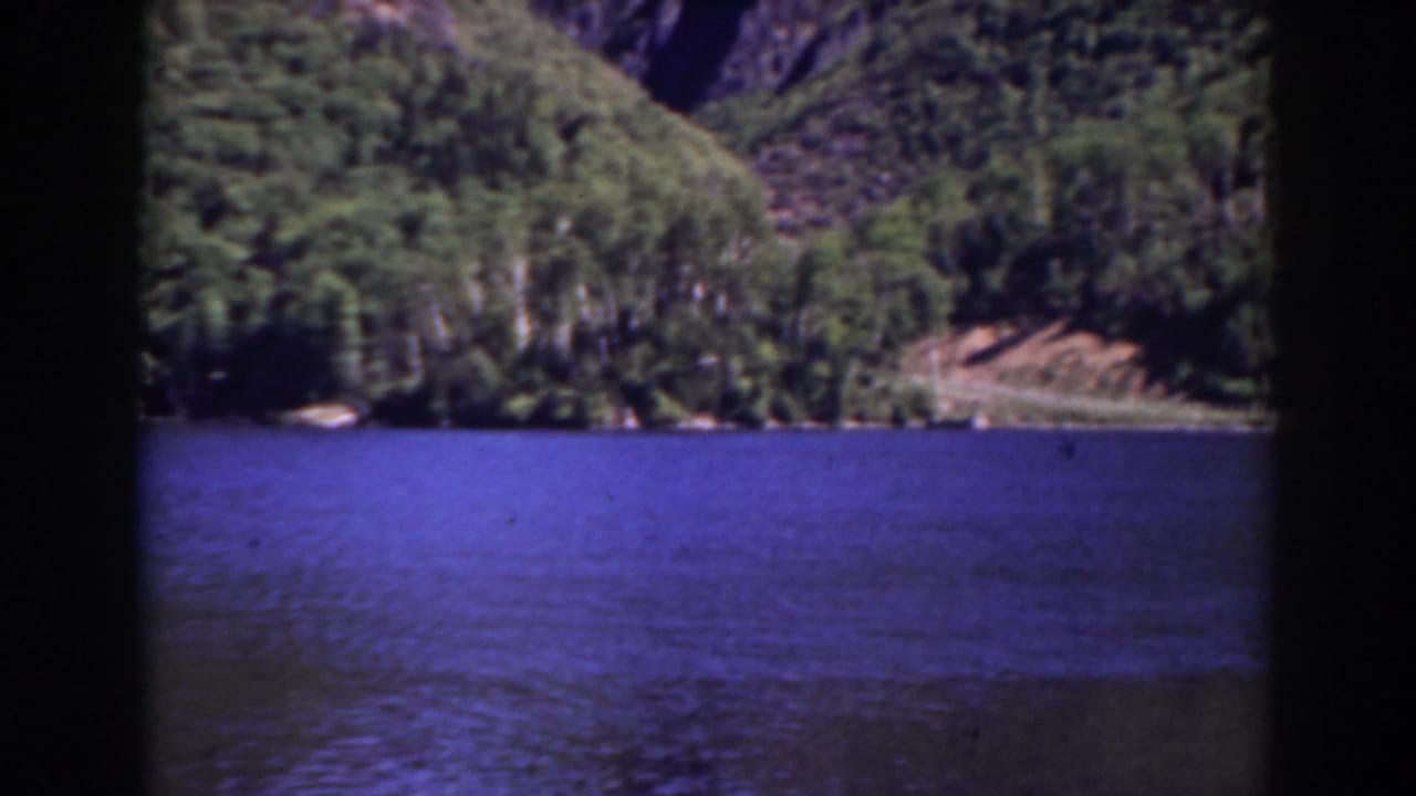 Forested lake shoreline and blue water during a pan.